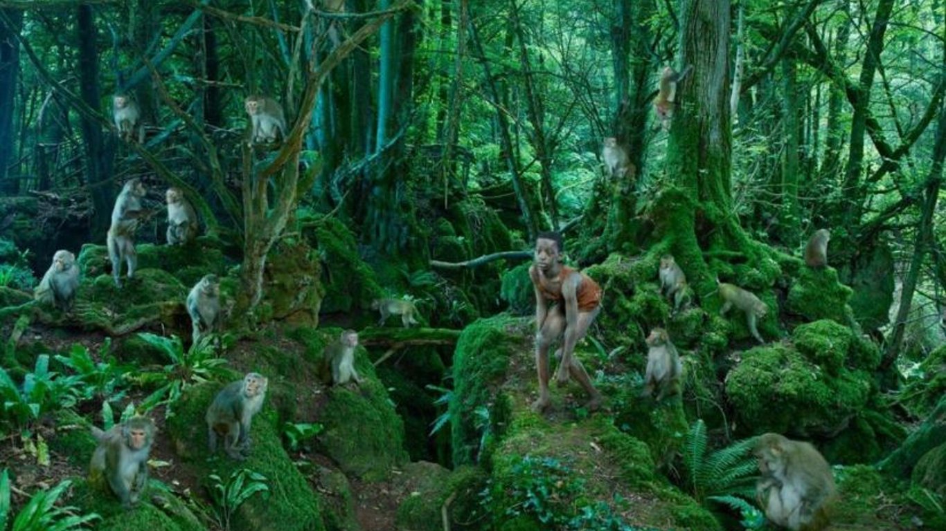 Джон Себунья жив з мавпами в джунглях-як змінилося його життя