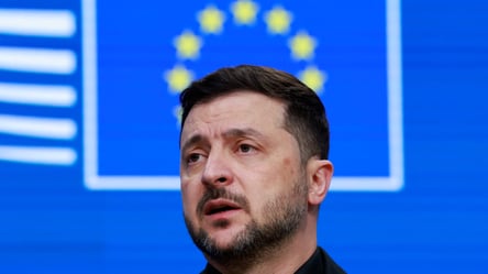 Зеленский объяснил, почему статья 5 НАТО важна для Украины - 285x160