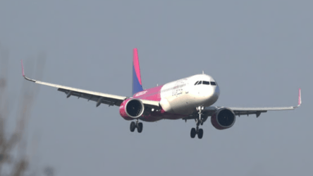 Аеропорт Вільнюса третій день поспіль призупинив роботу - 290x166