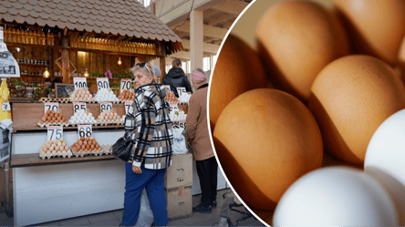Как выбирать яйца на рынке: 3 признака свежести и качества - 285x160