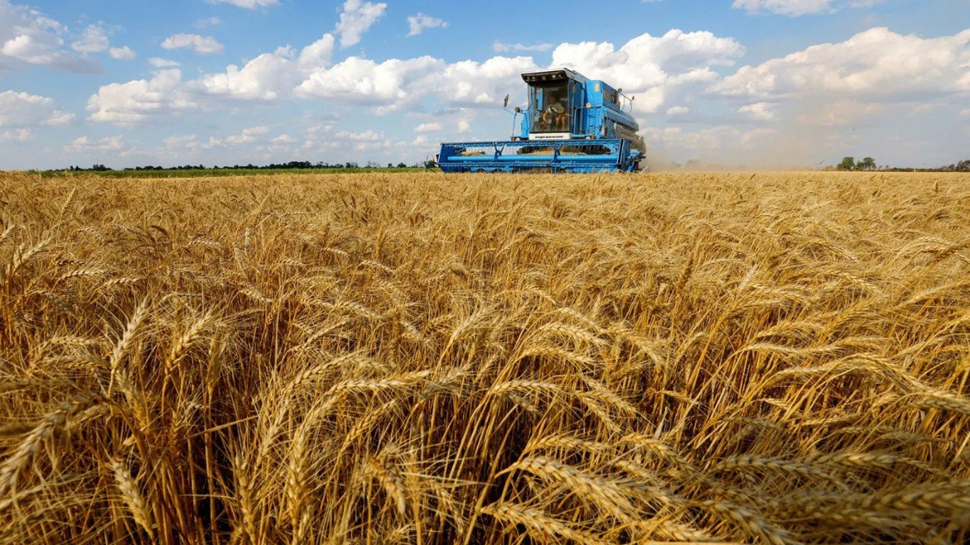 Ціни на зернові в Україні станом на 28 лютого 2024 року