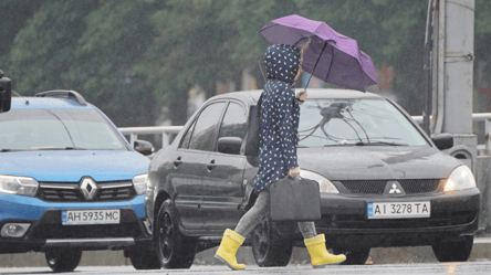 Синоптик Диденко прогнозирует дожди завтра: где будет больше всего осадков - 285x160
