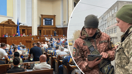 Батько зможе отримати відстрочку, якщо мати за кордоном: проєкт - 290x160