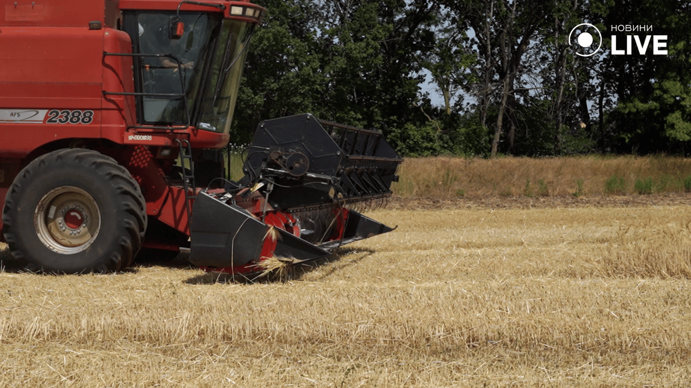 Комбайн косить зерно