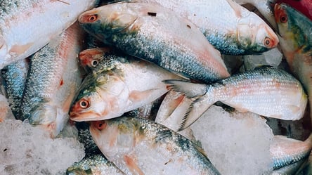 В Україні перепишуть ціни на рибу — які види подорожчають у 2026 - 285x160