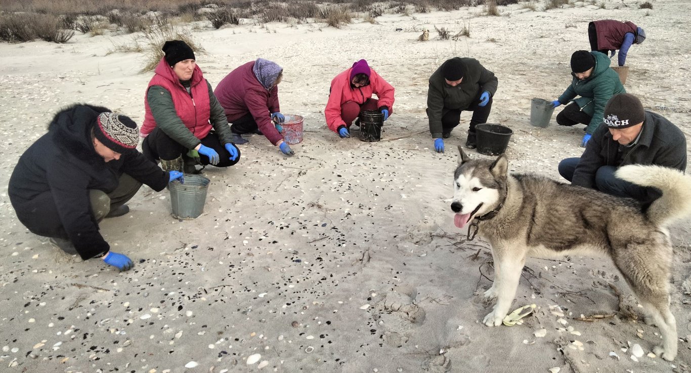 Пляжний сезон в Одесі під загрозою — екологи - фото 3