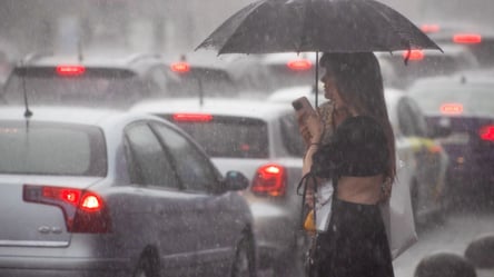 На День вышиванки будут грозы и жара до +29°C: прогноз от Диденко - 285x160