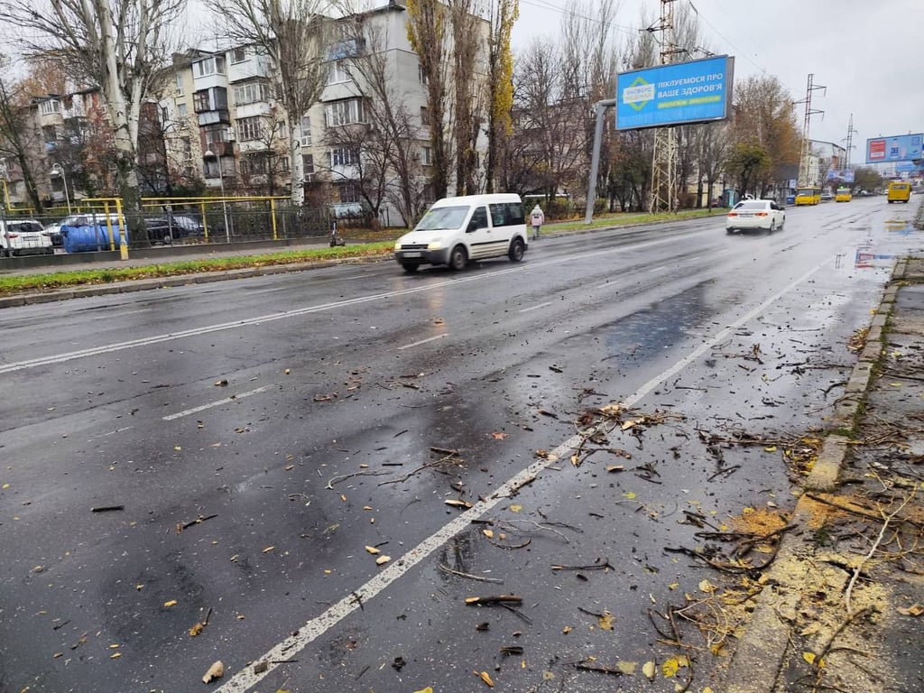 Буревій в Одесі — повалені десятки дерев та гілля - фото 6