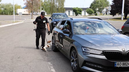 Сотні авто у черзі: на КПП з Польщею та Угорщиною великі затори - 290x166