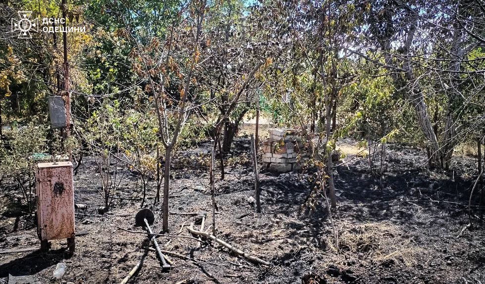 Пожежа на Одещині — горіли закинуті споруди та суха трава - фото 1