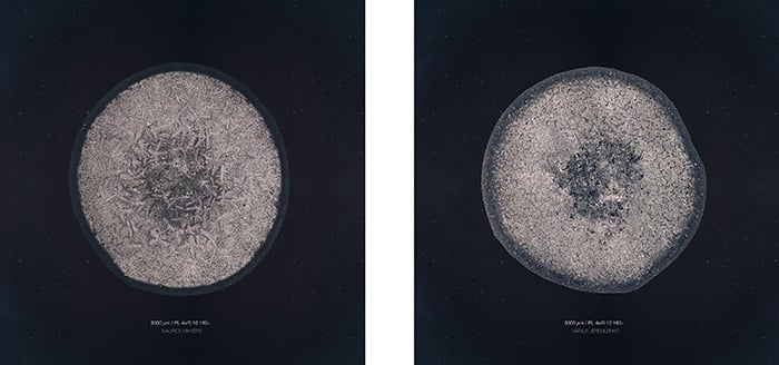 Как художник делает уникальные снимки слез под микроскопом