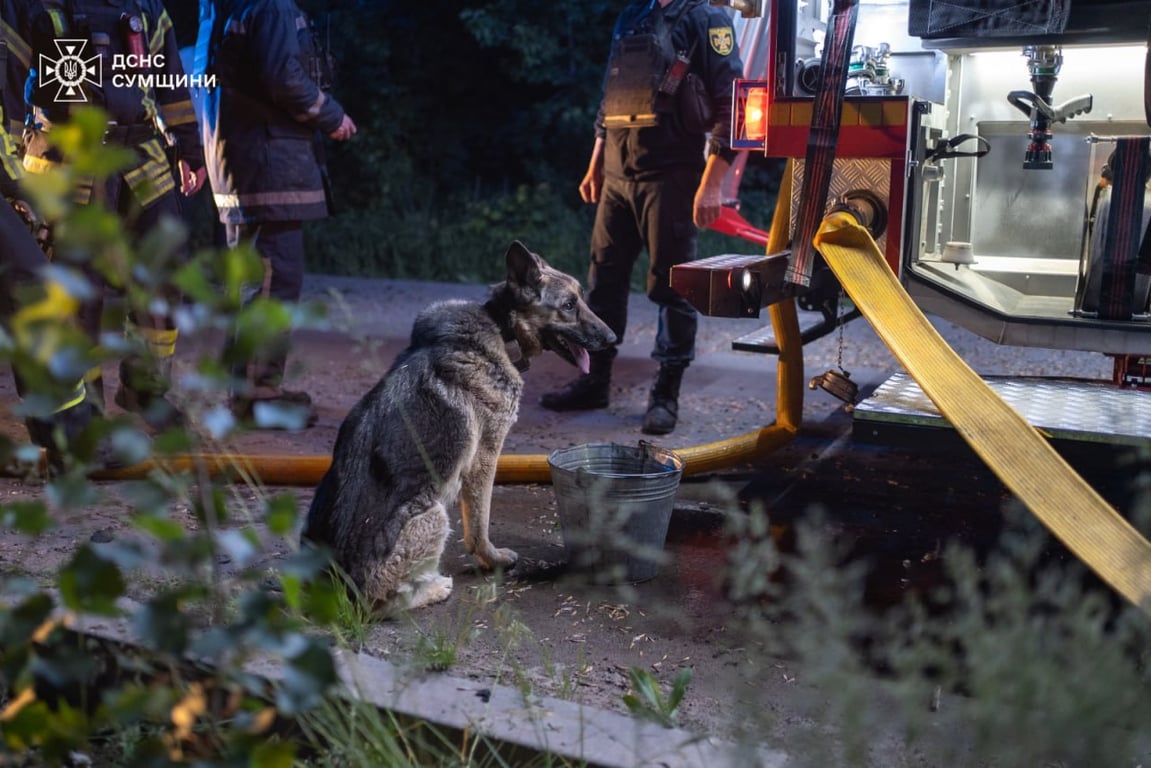 Суми дрон вдарив по будинку