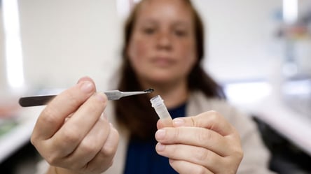 Украина зафиксировала вспышку ящура в грузах из Азербайджана - 285x160