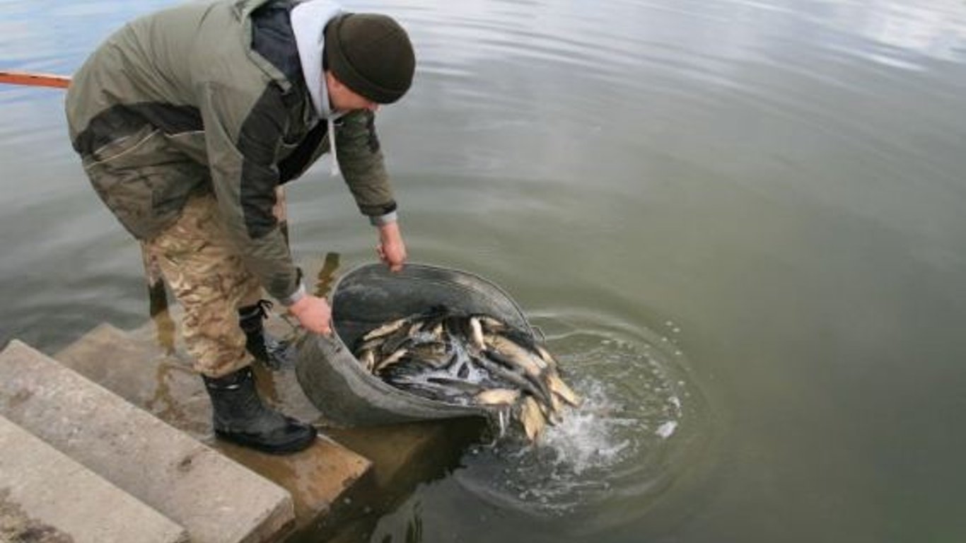 В Одесской области заканчивается кампания по зарыблению водоемов
