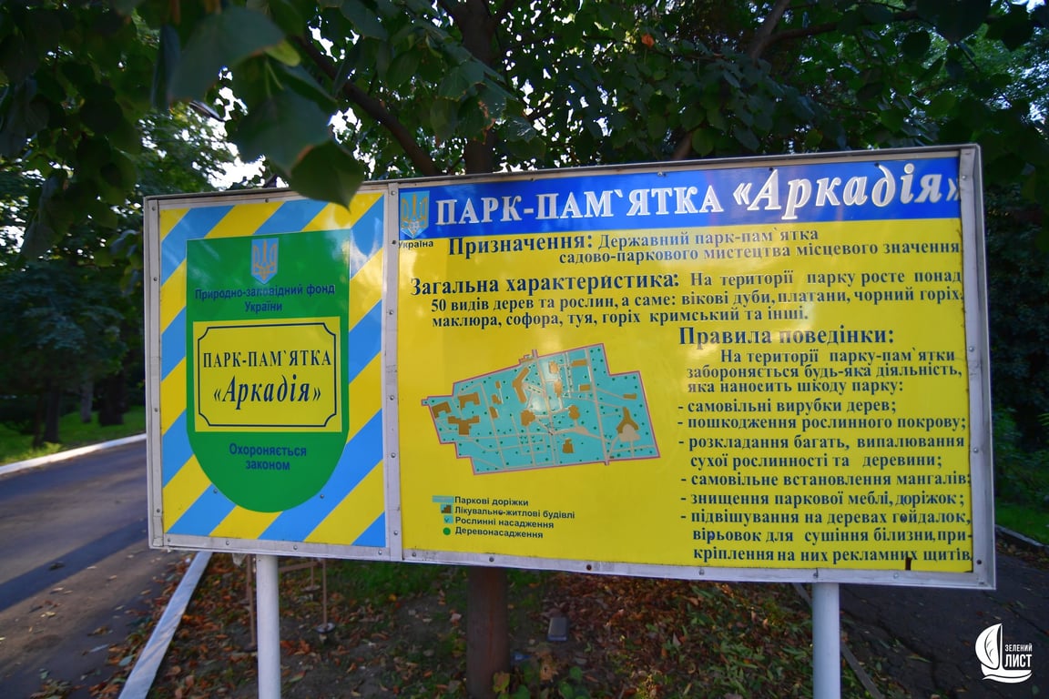 В Одесі незаконно вирубують столітні дуби — деталі, фото - фото 5