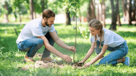 Коли підживлювати молоді дерева у 2025 — поради садівникам - 285x160