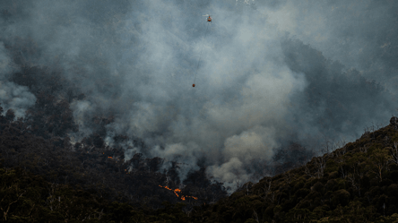 Вуглекислий газ і потепління — вчені зробили вражаюче відкриття - 285x160