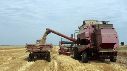 Ціни на ріпак в Україні — чи можна заробити на експорті - 304x171