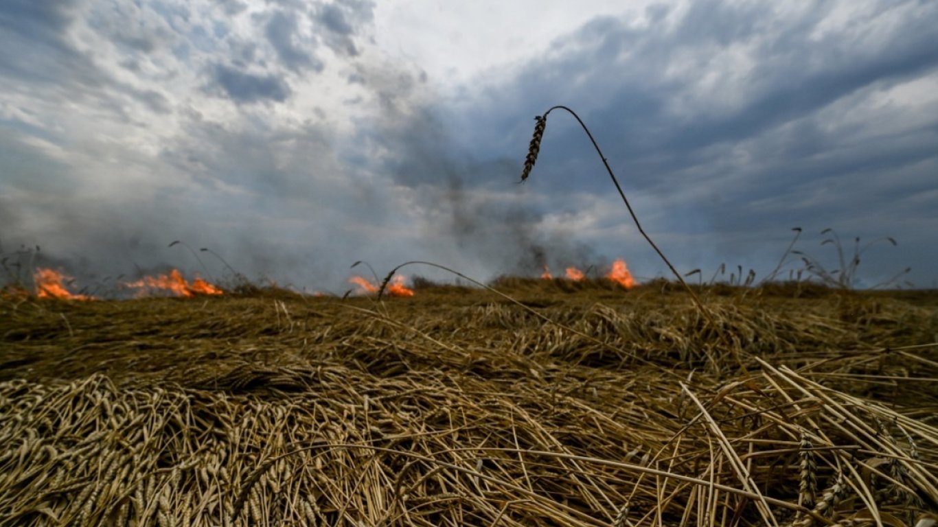 Природа и война: в какую сумму оценивают ущерб экологии Украины от вторжения россии
