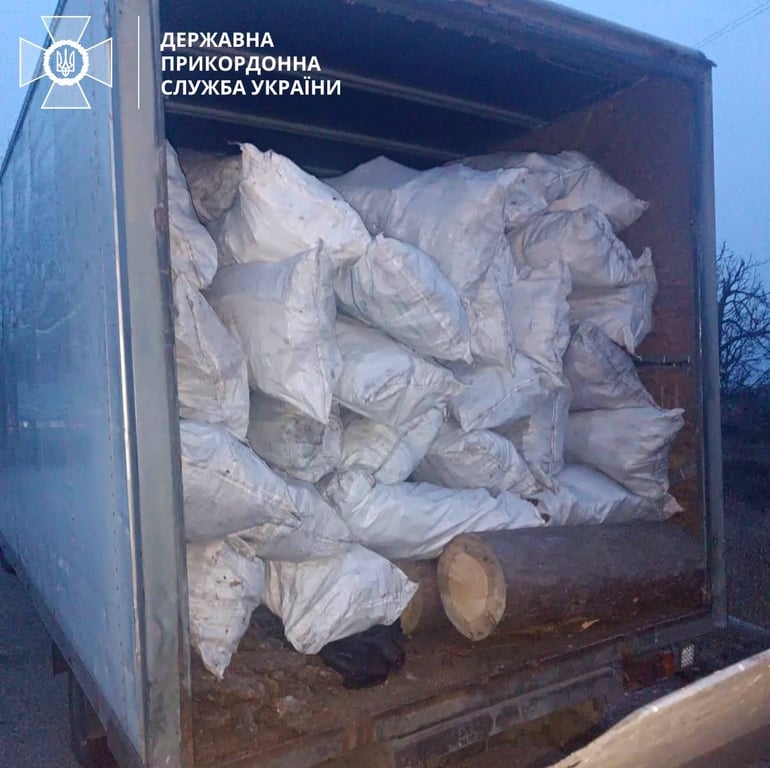 Кора деревьев из ЧАЭС, которую пытались отвезти в Киев