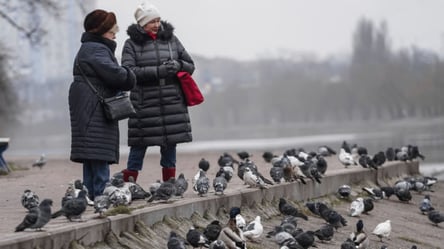 Збережеться м’яка зима — Діденко розкрила прогноз на вихідні - 290x166