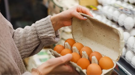 У магазинах активно дорожчають яйця: які зараз ціни - 285x160