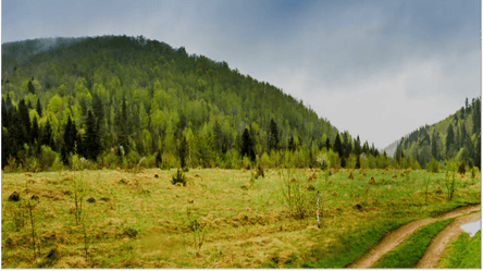 В Україні розікрали землю біля популярного курорту — що відомо - 285x160