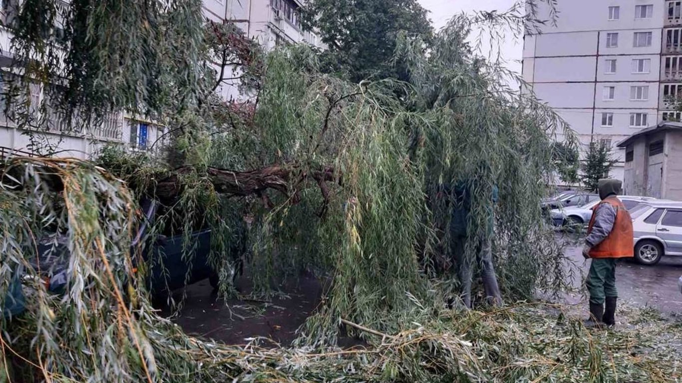 В Харькове из-за непогоды попадали деревья и оборвались электросети