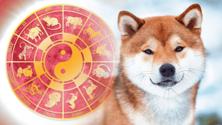 Східний гороскоп для Собаки на 2026 рік — яких сюрпризів чекати - 285x160