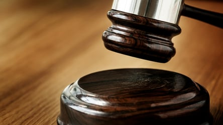 Побила військових ТЦК — жінку засудили на Закарпатті - 285x160