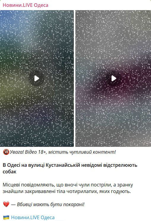 В Одесі невідомий відстрілює собак: відео