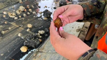 Янтарь в Украине — в каких областях найти "солнечный камень" - 285x160