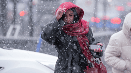 Фейковые страшилки — Диденко опровергла прогноз о снеге - 285x160