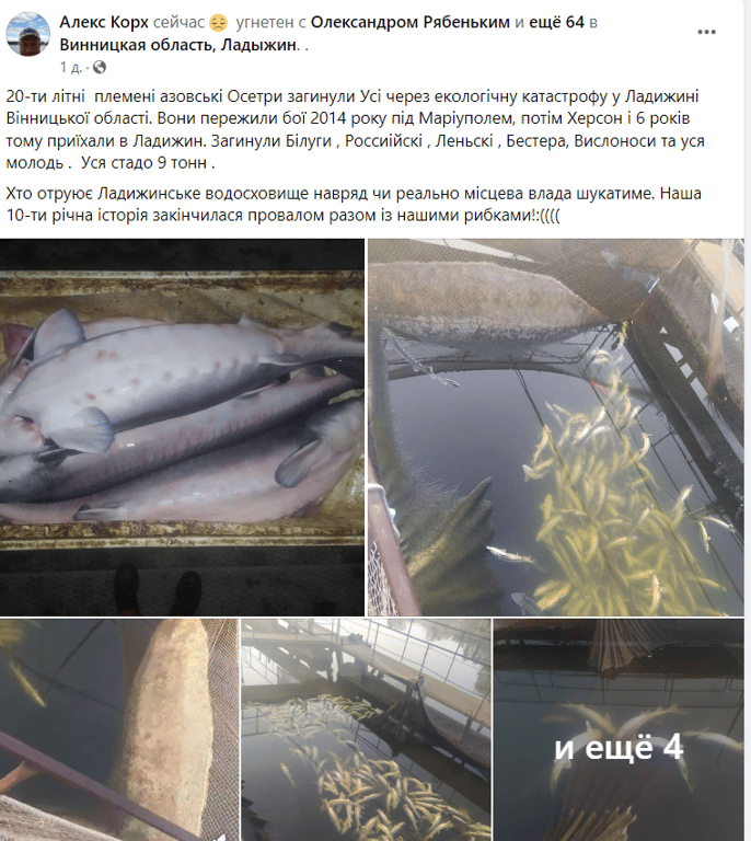 90 тонн риби загинуло