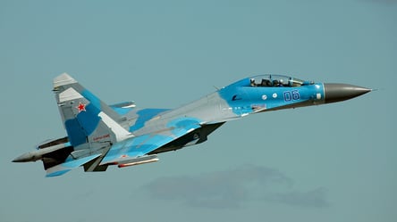 В сети появился момент падения российского самолета Су-30: видео - 285x160