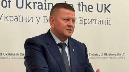 Залужний відповів на чутки про створення власної політичної сили - 285x160