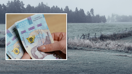 Земельний кадастр може створити проблему — хто має платити за виправлення - 285x160