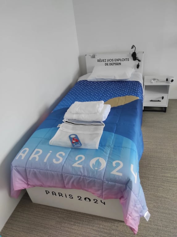 Украинцы на Олимпиаде в Париже