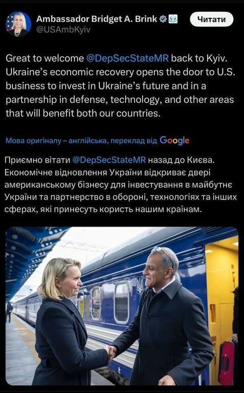 Допис Бріджит Брінк