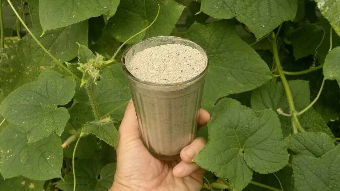 Дрожжи возле растения