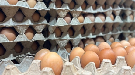 Мінімальні ціни на яйця — що відбувається в супермаркетах України - 285x160