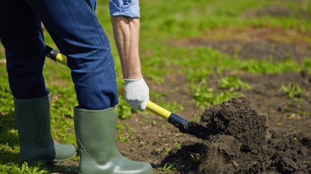 Підживлення ґрунту після врожаю — поради дачникам - 285x160