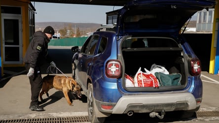 Скупчилися десятки автомобілів — черги на кордоні України - 285x160