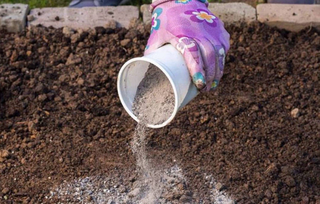 Древесный пепел