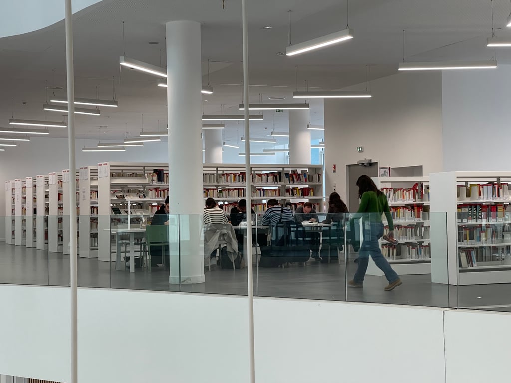 Образование во Франции — специфика системы и возможности для украинцев - фото 2