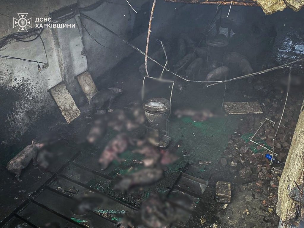 Російський обстріл Харківщини 19 лютого