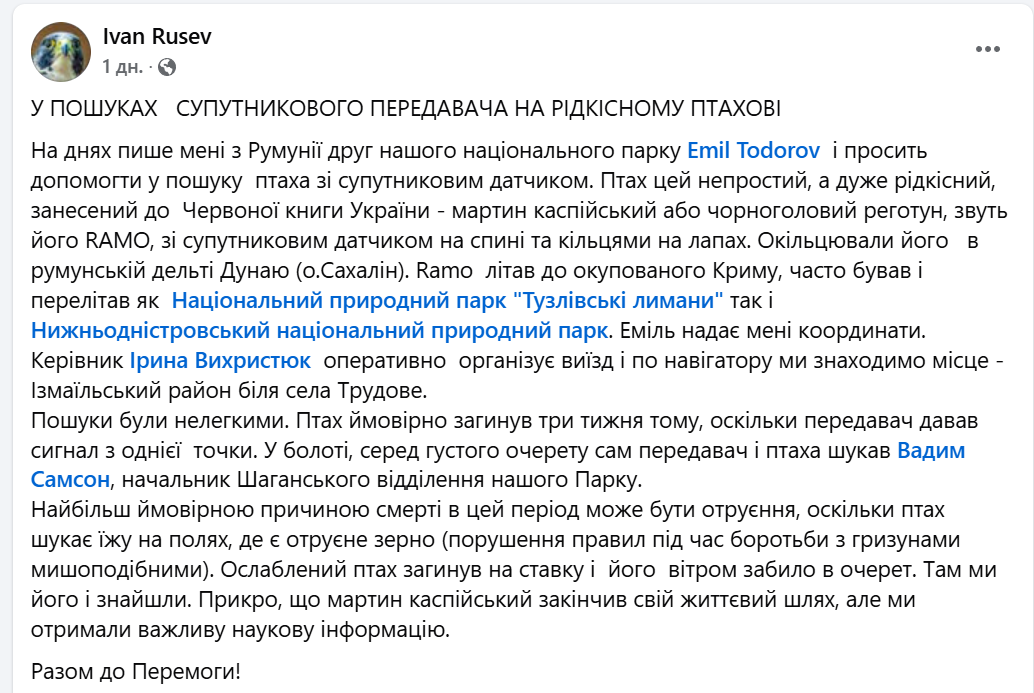 На Одесщине нашли мертвой краснокнижной птицы - подробности - фото 1