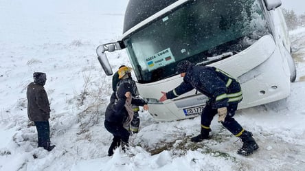 Перевозчики начали отменять автобусы в Одессу - 285x160