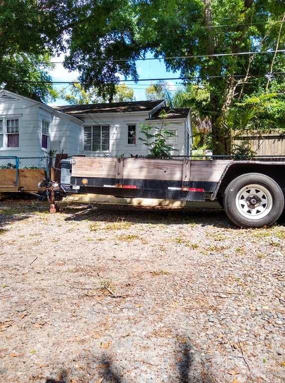 Знайдіть на фото кота за п'ять секунд здатні лише 2% людей — з ким ви - фото 1