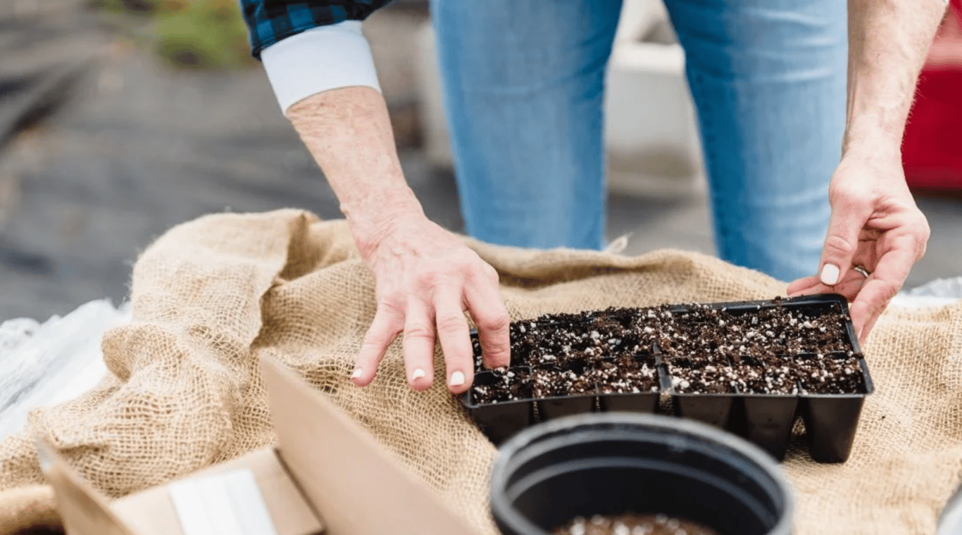 Земля на рассаду